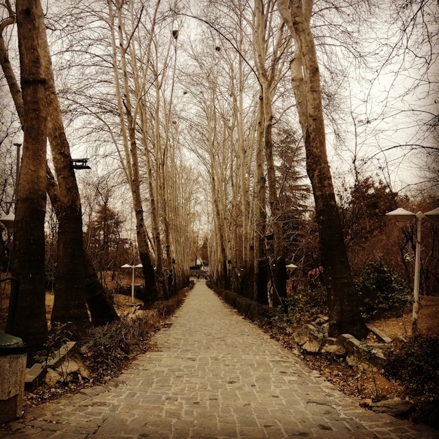 Ljetni zalazak